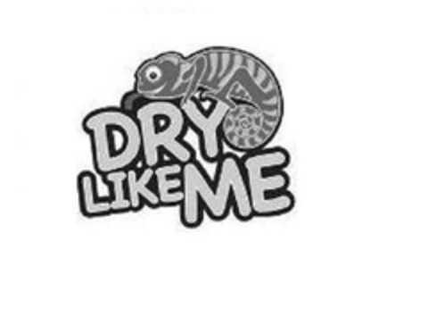 DRY LIKE ME Logo (EUIPO, 01.07.2010)