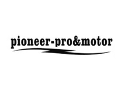 pioneer-pro&motor Logo (EUIPO, 14.09.2010)