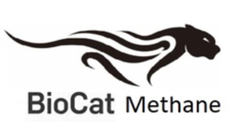 BioCat Methane Logo (EUIPO, 11/09/2022)