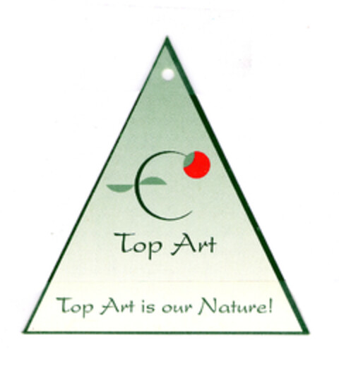 Top Art Top Art is our Nature! Logo (EUIPO, 07/24/2003)