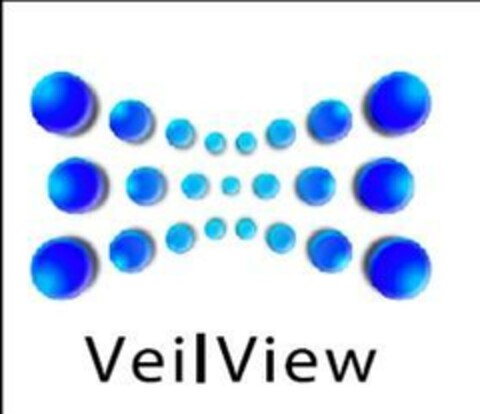 VeilView Logo (EUIPO, 09.06.2006)