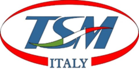 TSM ITALY Logo (EUIPO, 07.06.2007)