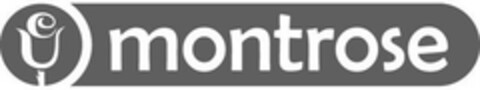 montrose Logo (EUIPO, 10.12.2007)