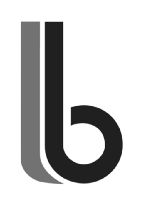 b Logo (EUIPO, 12/27/2010)