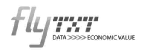 FLYTXT DATA ECONOMIC VALUE Logo (EUIPO, 30.10.2014)