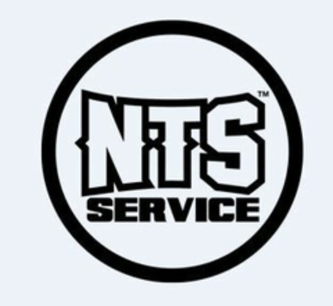 NTS SERVICE Logo (EUIPO, 31.01.2017)