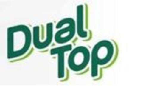 DUAL TOP Logo (EUIPO, 02/24/2017)