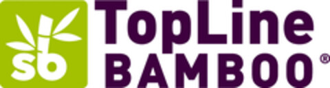 TOPLINE BAMBOO Logo (EUIPO, 14.08.2019)
