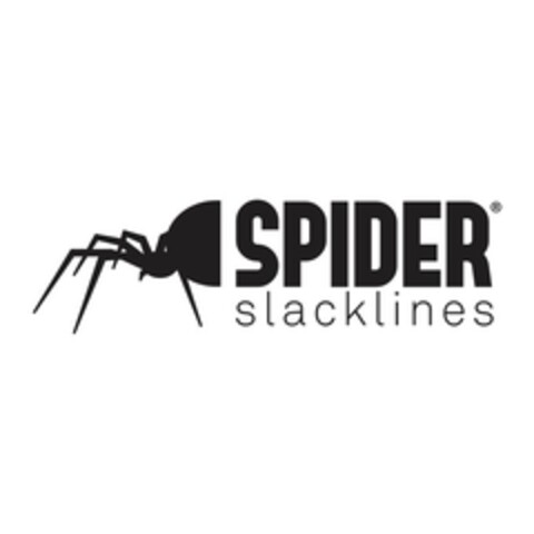 SPIDER SLACKLINES Logo (EUIPO, 02/10/2021)