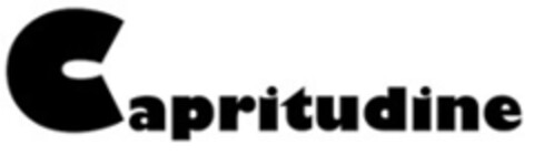 Capritudine Logo (EUIPO, 03/02/2022)