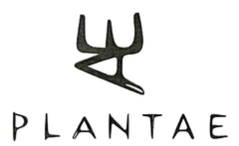 PLANTAE Logo (EUIPO, 09/12/2023)