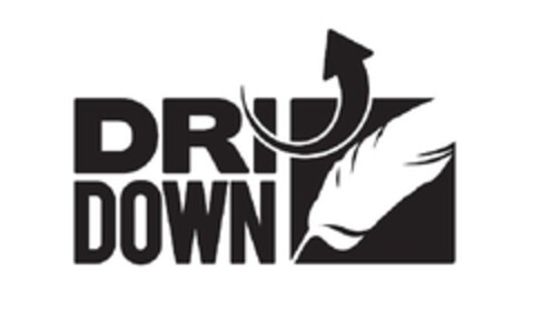 DRIDOWN Logo (EUIPO, 24.02.2012)