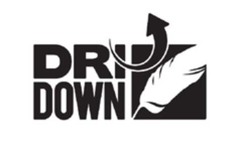 DRIDOWN Logo (EUIPO, 02/24/2012)