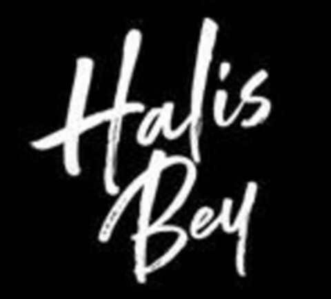 Halis Bey Logo (EUIPO, 13.05.2019)