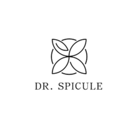 DR.SPICULE Logo (EUIPO, 22.02.2023)