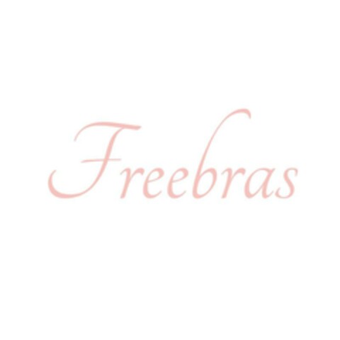 Freebras Logo (EUIPO, 17.11.2023)