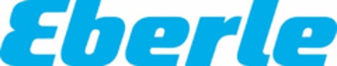 Eberle Logo (EUIPO, 16.09.2024)