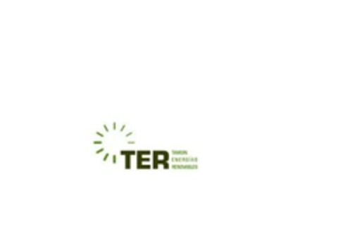 TER TAMOIN ENERGÍAS RENOVABLES Logo (EUIPO, 06/13/2005)