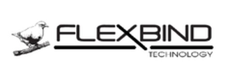 FLEXBIND TECHNOLOGY Logo (EUIPO, 03/17/2010)