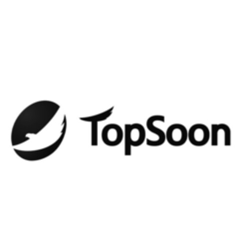 TOPSOON Logo (EUIPO, 30.03.2017)