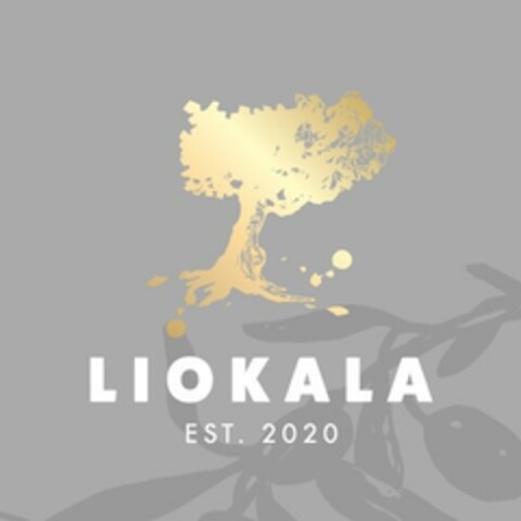 LIOKALA Logo (EUIPO, 04.06.2021)