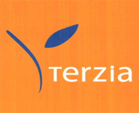 terzia Logo (EUIPO, 11/23/2006)