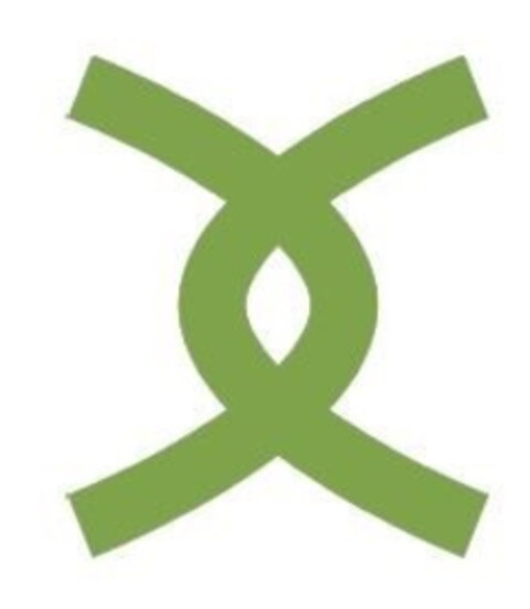 X Logo (EUIPO, 01/26/2021)