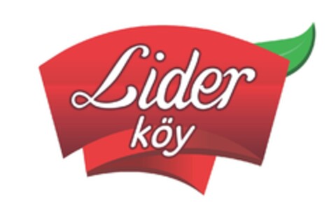 Liderköy Logo (EUIPO, 11/16/2023)