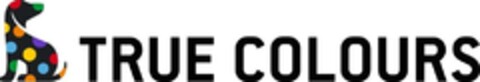TRUE COLOURS Logo (EUIPO, 01.07.2024)