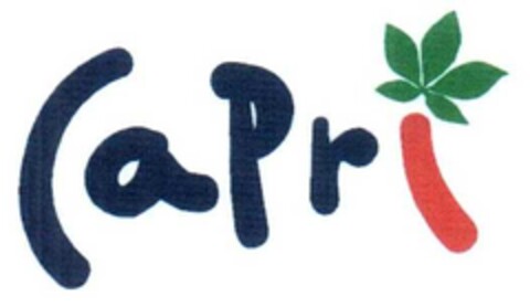 Capri Logo (EUIPO, 21.05.2007)
