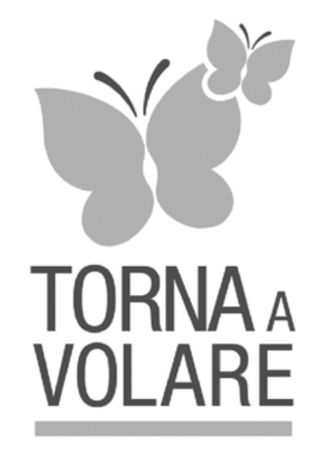 TORNA A VOLARE Logo (EUIPO, 08/24/2010)