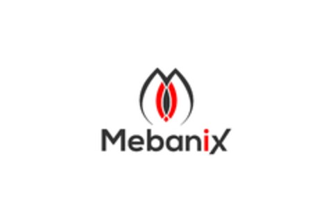 Mebanix Logo (EUIPO, 23.10.2019)