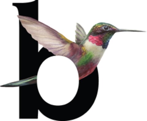 b Logo (EUIPO, 13.07.2022)