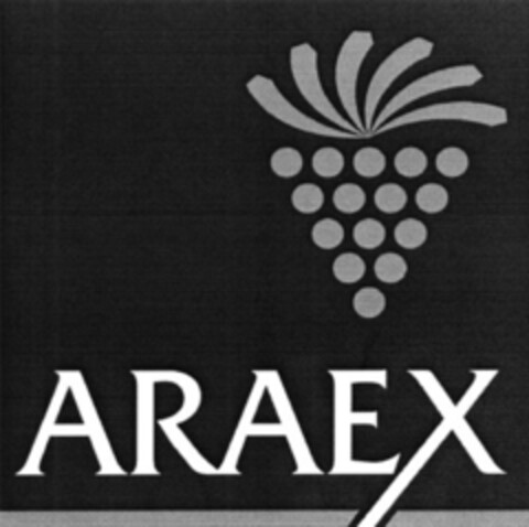 ARAEX Logo (EUIPO, 05/27/2005)