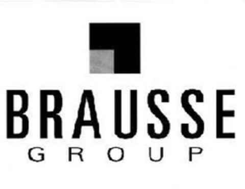 BRAUSSE GROUP Logo (EUIPO, 11.01.2008)