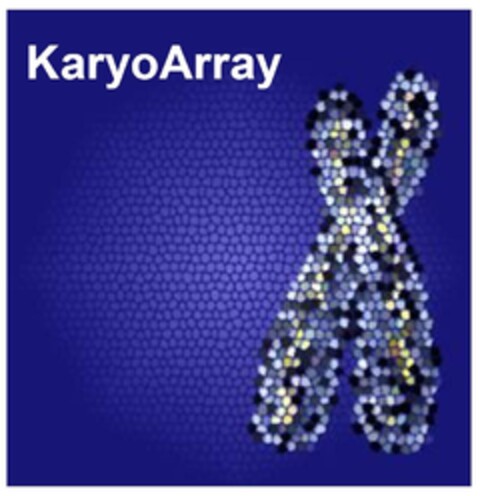 KaryoArray Logo (EUIPO, 08/27/2009)