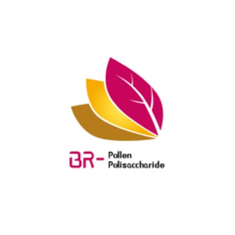 BR - Pollen Polisaccharide Logo (EUIPO, 31.12.2019)