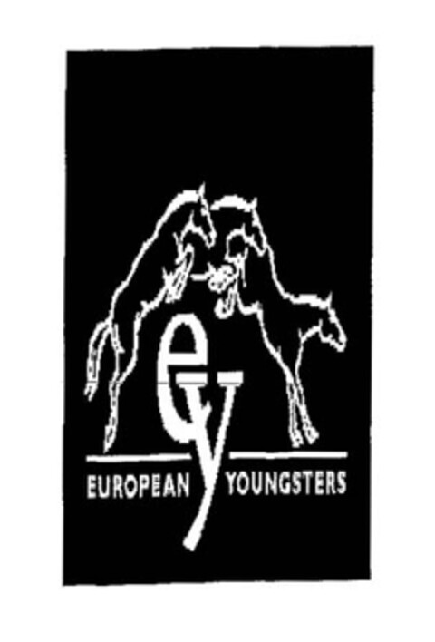 ey EUROPEAN YOUNGSTERS Logo (EUIPO, 03.06.2009)