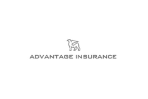 ADVANTAGE INSURANCE Logo (EUIPO, 30.05.2013)