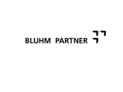 BLUHM PARTNER Logo (EUIPO, 19.06.2013)