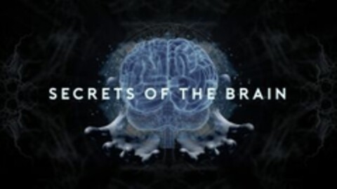 SECRETS OF THE BRAIN Logo (EUIPO, 16.03.2016)