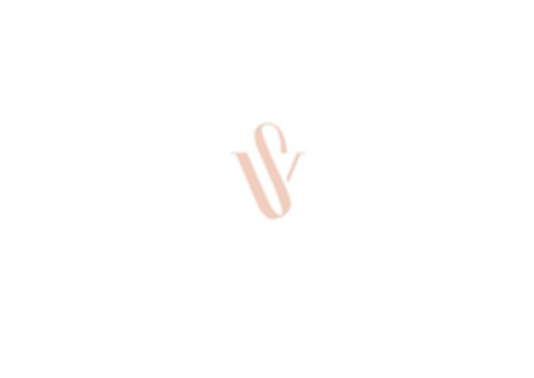 VS Logo (EUIPO, 09/11/2020)