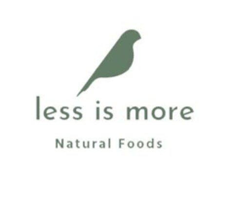 less is more Natural Foods Logo (EUIPO, 09.01.2023)