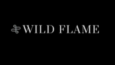 WILD FLAME Logo (EUIPO, 05/17/2024)