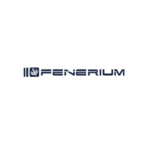 FENERIUM Logo (EUIPO, 08/13/2024)