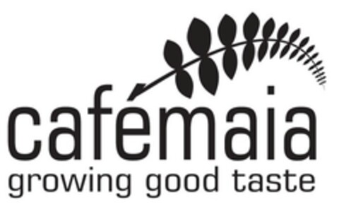 cafémaia growing good taste Logo (EUIPO, 10.09.2008)