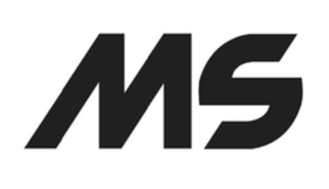 MS Logo (EUIPO, 08.08.2014)