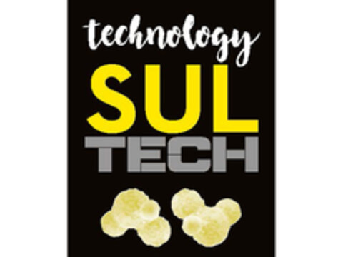 TECHNOLOGY SUL TECH Logo (EUIPO, 13.06.2019)