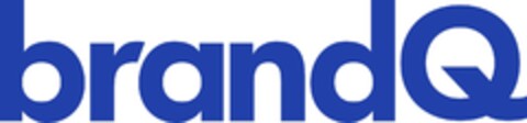 brandQ Logo (EUIPO, 24.07.2019)