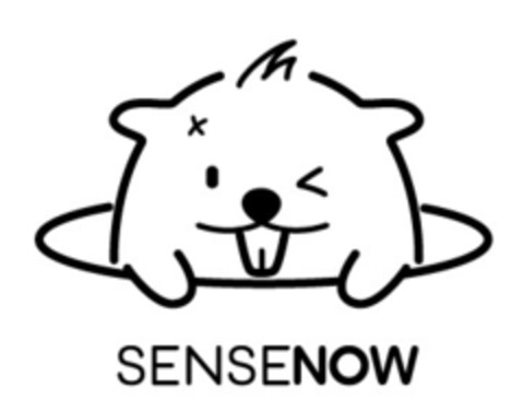 SENSENOW Logo (EUIPO, 23.06.2017)